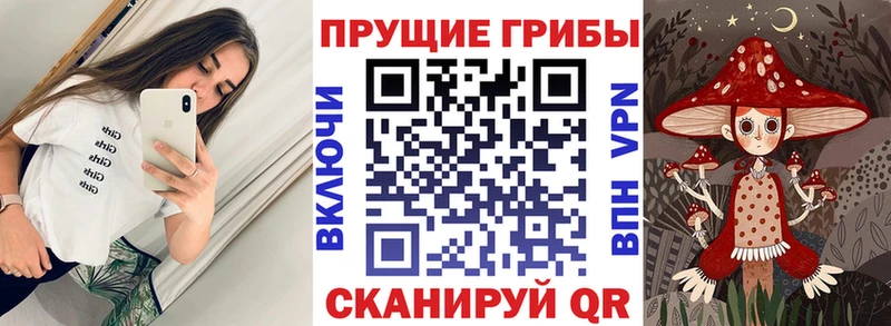 маркетплейс наркотические препараты  Нижнекамск  Псилоцибиновые грибы MAGIC MUSHROOMS 